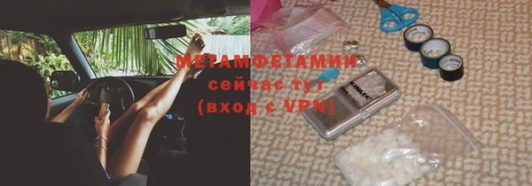 трава Гусь-Хрустальный
